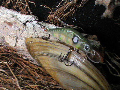 DSC00166.jpg