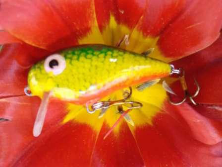 110528_114027.jpg