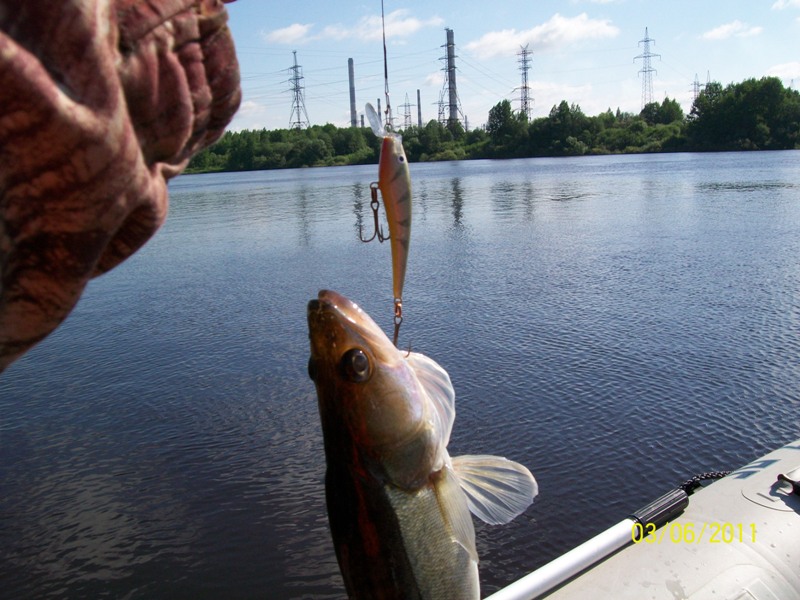100_2864.JPG