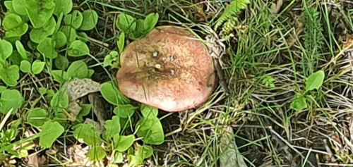 20200715_162647.jpg