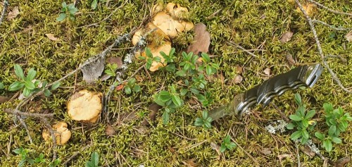 20200722_135910.jpg