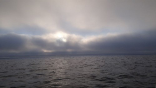 20201010_084212.jpg