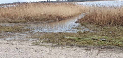 20201109_142425.jpg