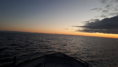 20201121_075847.jpg