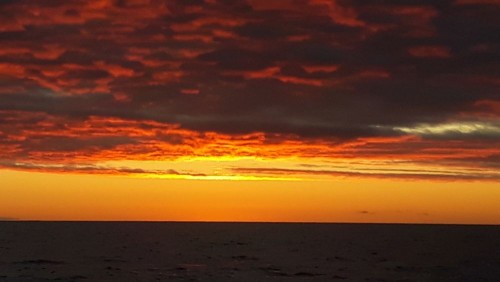 20201121_081101.jpg