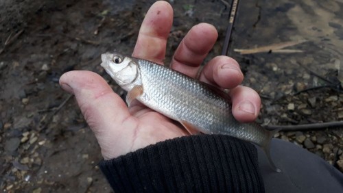 20201128_100527.jpg