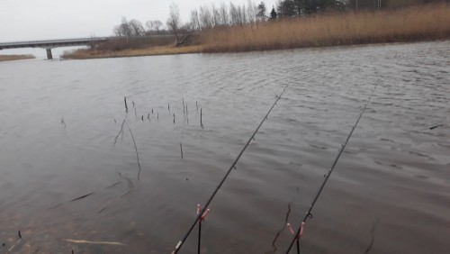 20201205_084142.jpg