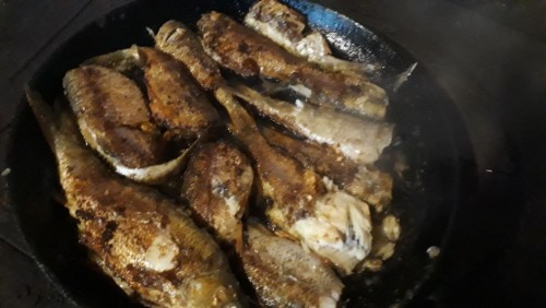20201205_135858.jpg