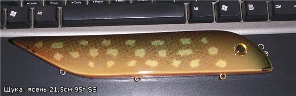 Щука.jpg