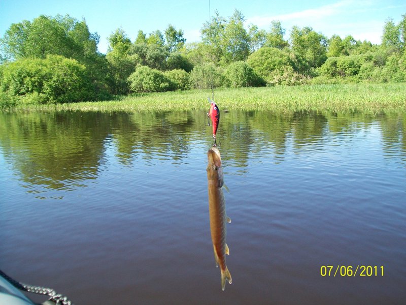 100_2881.JPG
