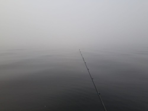 20210911_083830.jpg