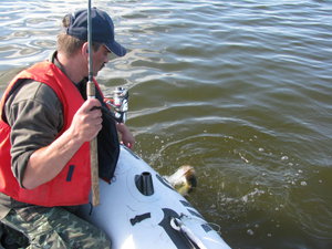 IMG_4079.JPG
