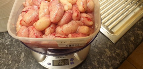 20220130_202448.jpg