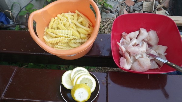 IMGP1700 (600 x 337).jpg