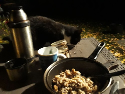 20221015_204924.jpg