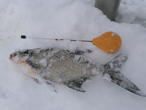 IMG_20230220_152626.jpg (65.36 КБ) 5950 просмотров IMG_20230220_152626.jpg