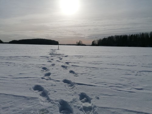 IMG_20230228_103639.jpg (91.24 КБ) 5603 просмотра IMG_20230228_103639.jpg