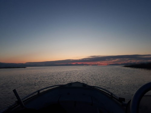 20230603_035938.jpg