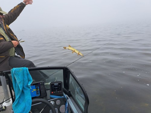 20230909_093239.jpg (74.55 КБ) 13036 просмотров 20230909_093239.jpg