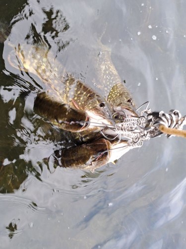 20230909_151152.jpg (99.51 КБ) 13036 просмотров 20230909_151152.jpg