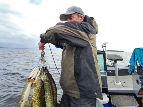 20230909_151217.jpg (110.86 КБ) 13036 просмотров 20230909_151217.jpg