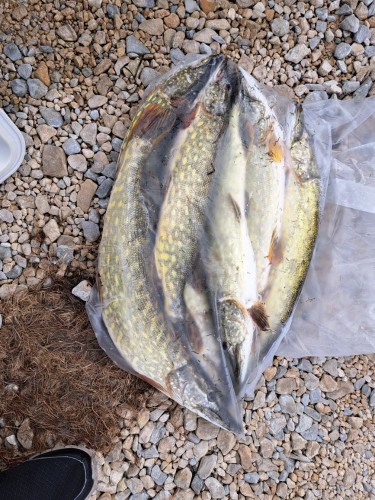 20230909_161353.jpg (214.59 КБ) 13036 просмотров 20230909_161353.jpg