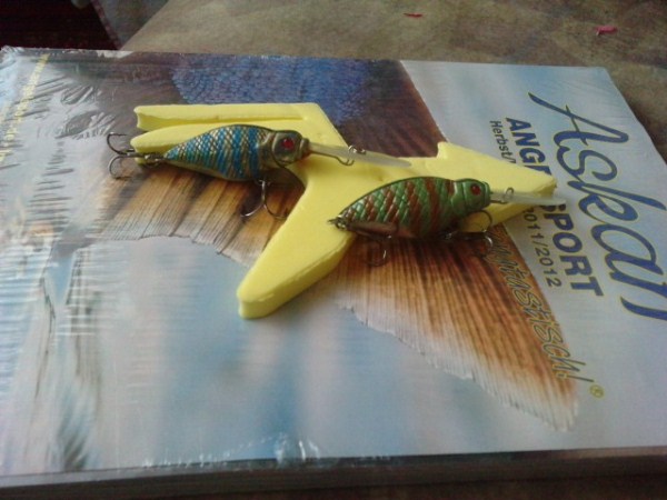 P240611_15.330002 (600 x 450).jpg