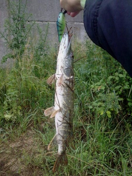 25062011466.jpg