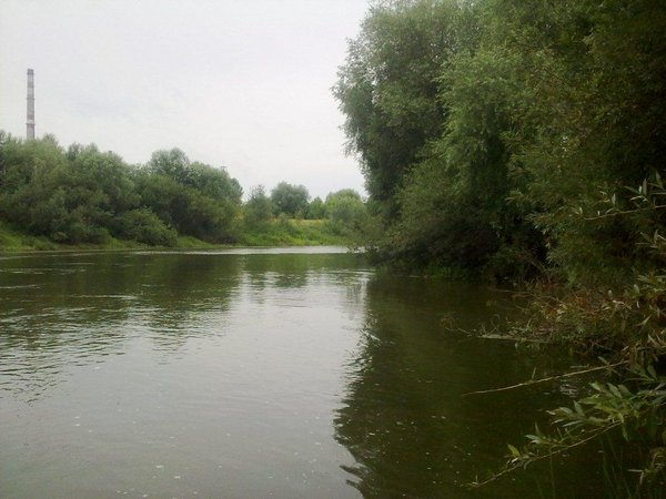 25062011469.jpg
