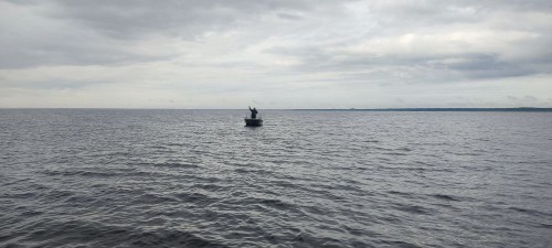 IMG_20240608_090213[1].jpg