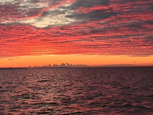 20240615_034915.jpg