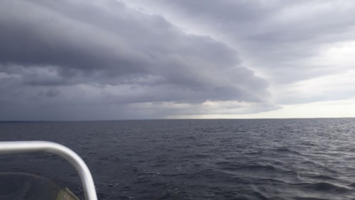 20240706_073252.jpg