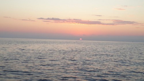 20240727_045420.jpg