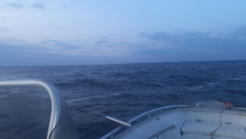 20240824_061857.jpg