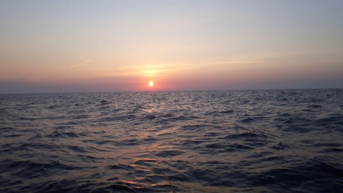 20240831_062423.jpg