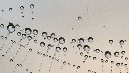 20240904_073713.jpg