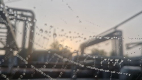 20240904_073757.jpg