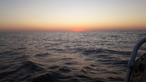 20240907_062117.jpg