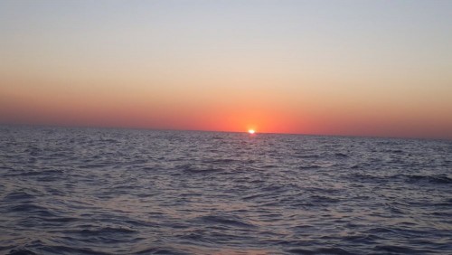 20240907_062412.jpg