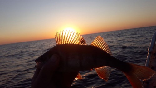 20240907_063905.jpg