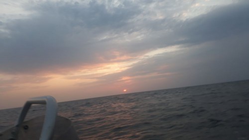 20240914_064945.jpg