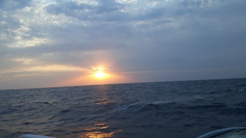 20240914_070925.jpg