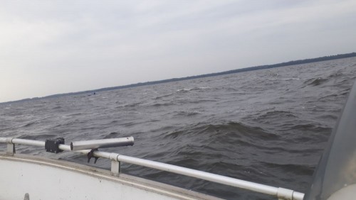 20240914_090421.jpg