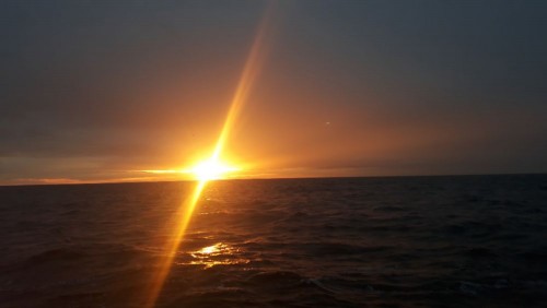 20240928_072020.jpg