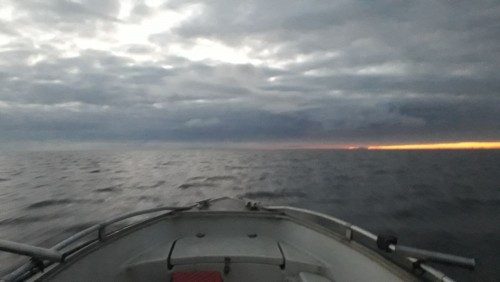20241005_065351.jpg