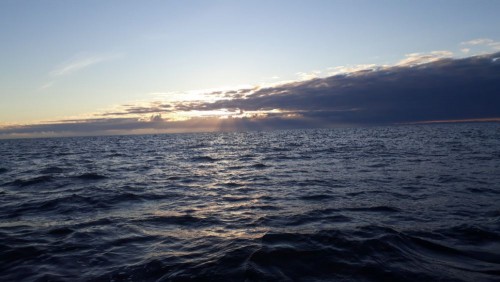 20241005_080211.jpg