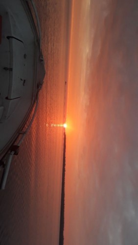 20241026_081818.jpg