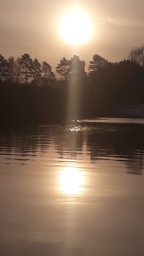 20241123_093107.jpg