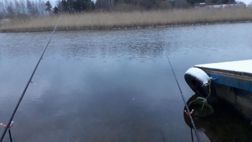 20241123_081930.jpg