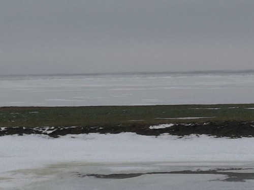 20250124_133319.jpg